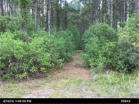0 Inchachee Road, White Oak, GA 31568