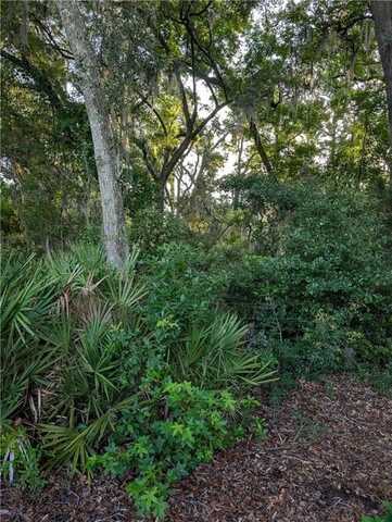 1350 Lawrence Road, Saint Simons Island, GA 31522