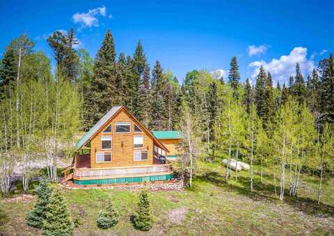 230 Timber Drive, Cimarron, CO 81220