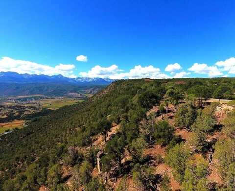 Tbd Pine Drive, Ridgway, CO 81432