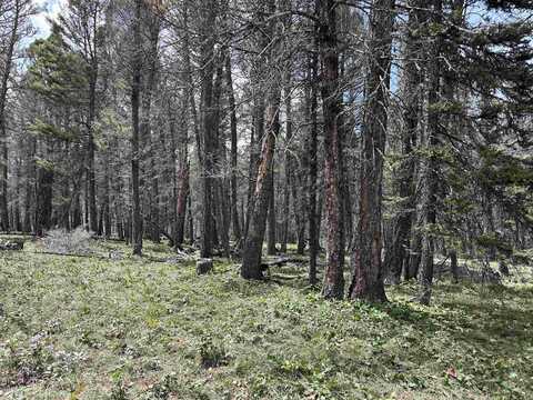 792 Crest Drive, Cimarron, CO 81220