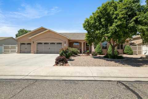 1041 Wildwood Drive, Fruita, CO 81521