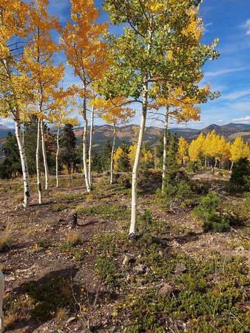 Tbd Miners Candle Road, Idaho Springs, CO 80452