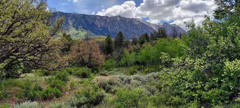 Tbd Highway 133, Somerset, CO 81434
