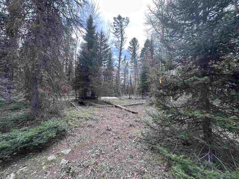 766 Crest Drive, Cimarron, CO 81220