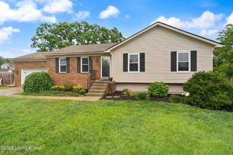 3901 Vantage Pl, Louisville, KY 40299
