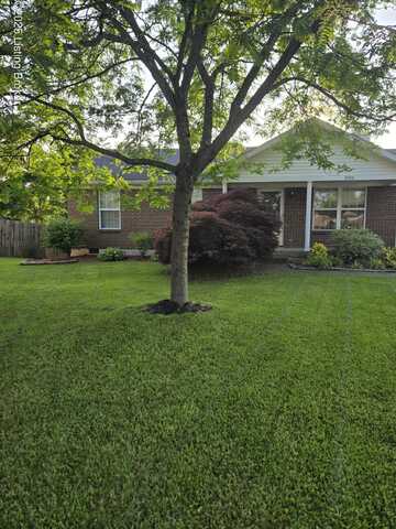 3900 Birch Leaf Ct, Louisville, KY 40229
