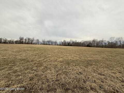 770 Shiloh Ln, Harned, KY 40144