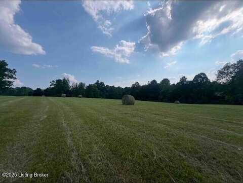 2 Mount Pleasant Rd, Bedford, KY 40006
