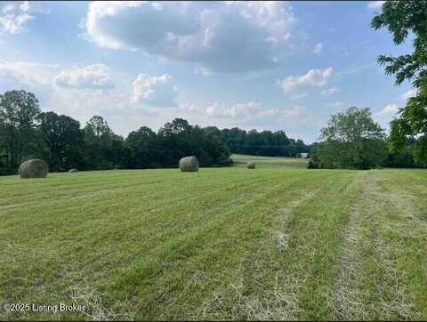 2 Mount Pleasant Rd, Bedford, KY 40006