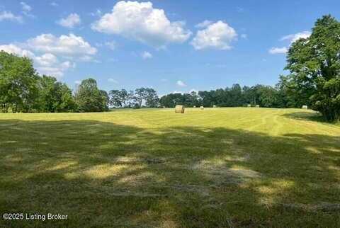 5 Hackney Ln, Bedford, KY 40006