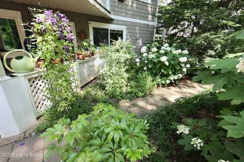 55 Lake Ave, Louisville, KY 40206