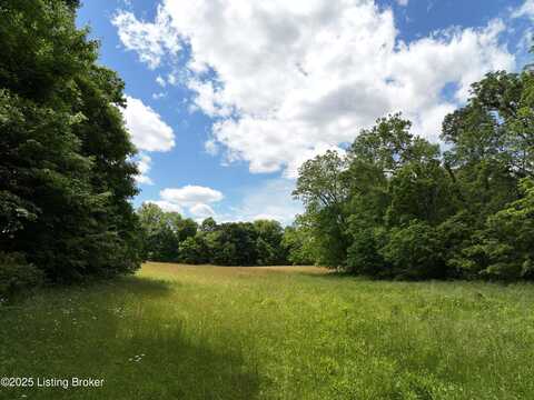 5579 Falls of the Rough Rd, Caneyville, KY 42721