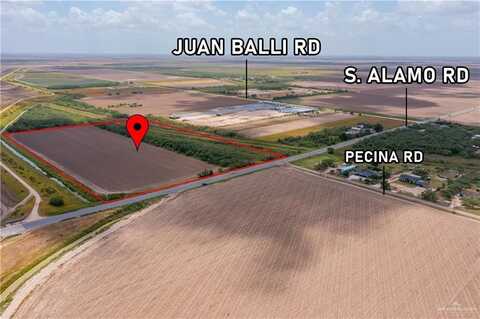 00 S Alamo Road, Alamo, TX 78516