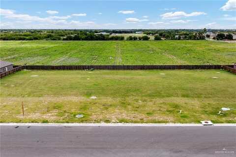 816 W Sunset Valley Street, Alton, TX 78573
