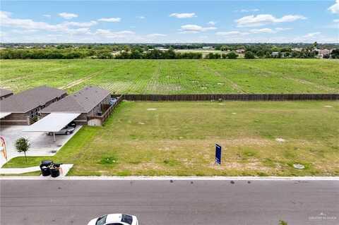 820 W Sunset Valley Street, Alton, TX 78573