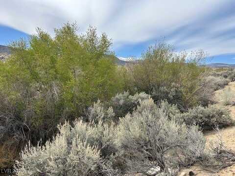 740 CHIATOVICH CREEK, Dyer, NV 89010