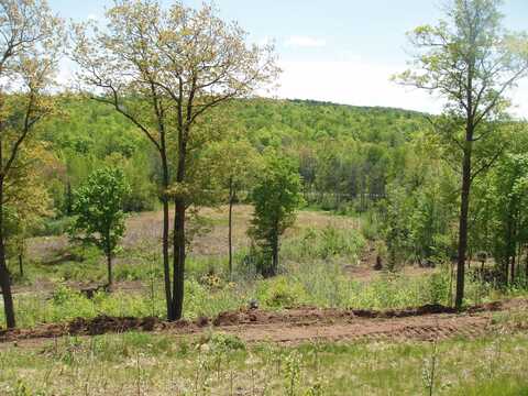 On HWY 169, Mellen, WI 54546