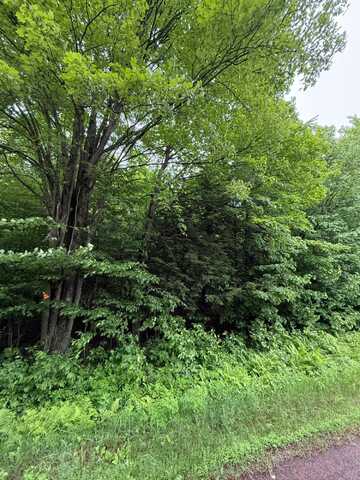 On TOBIAS RD, Antigo, WI 54409