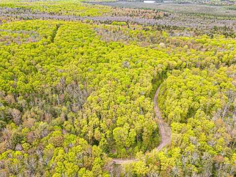 On FOREST RD 8300, Marenisco, MI 49947