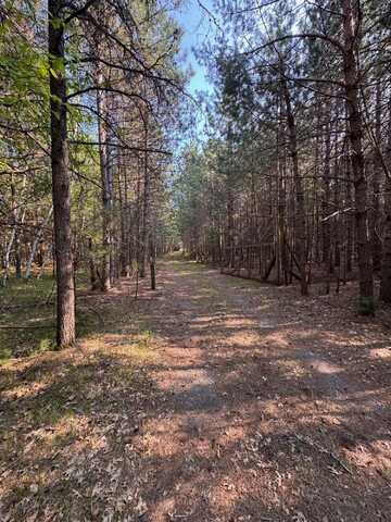 9851 COUNTRY LN, Woodruff, WI 54568