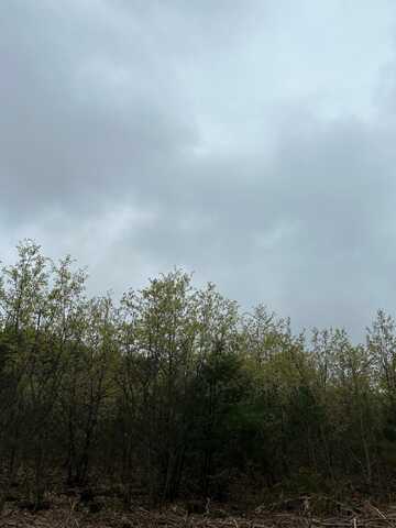 On CTH Y, Tomahawk, WI 54487