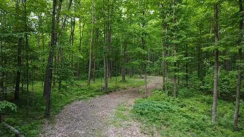 0000 GRUDGEVILLE RD, White Lake, WI 54491