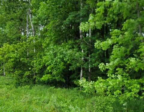 On TOWNLINE RD, Radisson, WI 54867