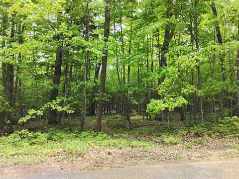 Lot 180 BUCKSKIN TR, Minocqua, WI 54548