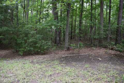 Lot 6 River Road, Blounts Creek, NC 27814