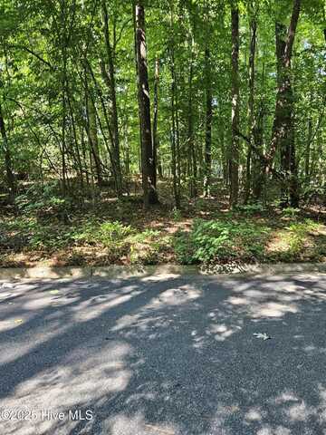 0 Woodlawn East Drive, Williamston, NC 27892