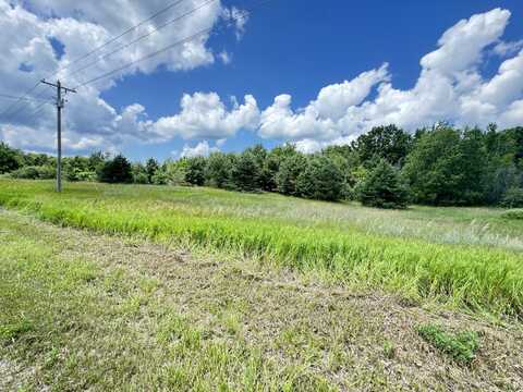 2 Acres E 48th Street, Chase, MI 49623