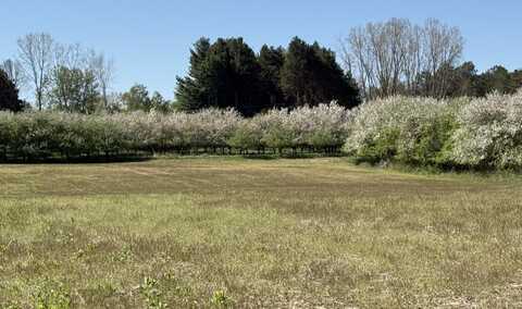 5140 37 Mile Road Road, Romeo, MI 48065