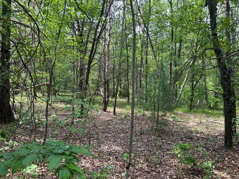19784 Yankee Road, Howard City, MI 49329