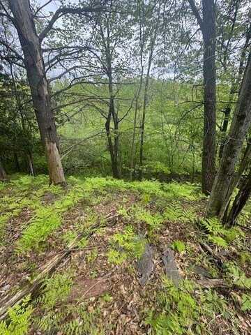 1750 Maple Point Road, Beaverton, MI 48612