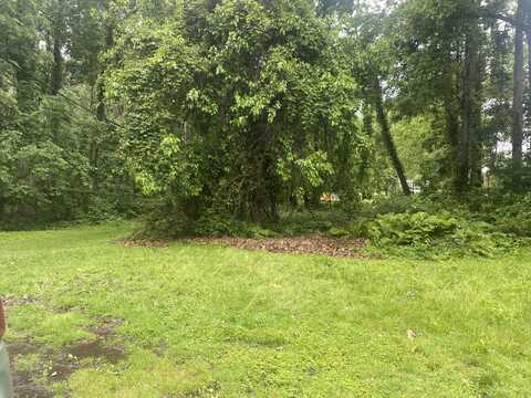 Vacant Southpointe Road, Grosse Ile, MI 48138