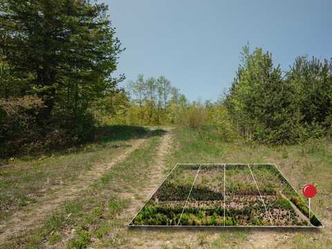 Lot 4 W Pendills Lake Road, Brimley, MI 49715
