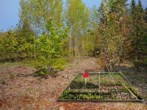 Lot 2 W Pendills Lake Road, Brimley, MI 49715