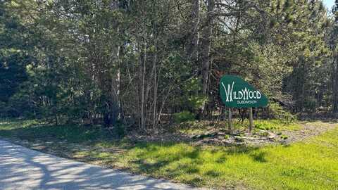 Lot 25 Whitetail Drive, Cadillac, MI 49601