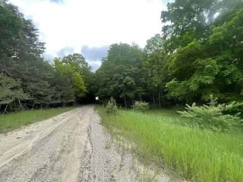 6288 E 22 1/2 Road, Manton, MI 49663