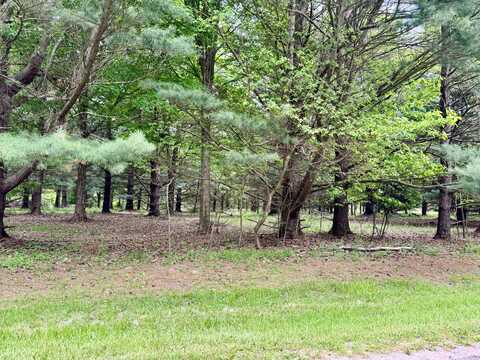 V/L Creekwood, South Haven, MI 49090