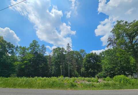 1309 Crescent Street, Greenville, MI 48838