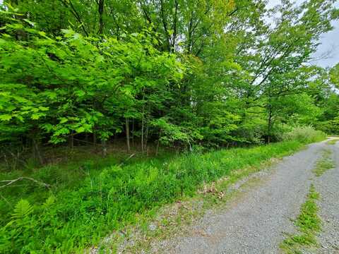 V/L E Arthur Road, Rothbury, MI 49452