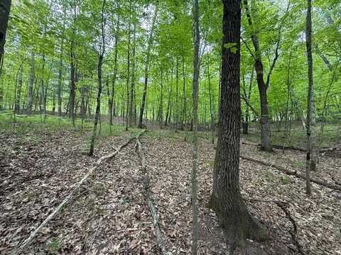 Vl W Timber Trail, Baldwin, MI 49304
