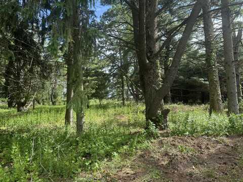Vl - Lot A Rawson Lane, Vicksburg, MI 49097