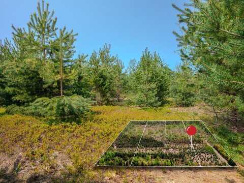 Lot 3 W Pendills Lake Road, Brimley, MI 49715