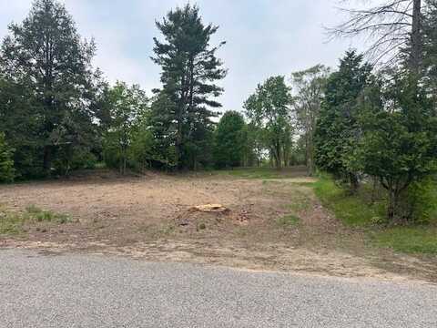 1075 E Pine Hill Avenue, White Cloud, MI 49349