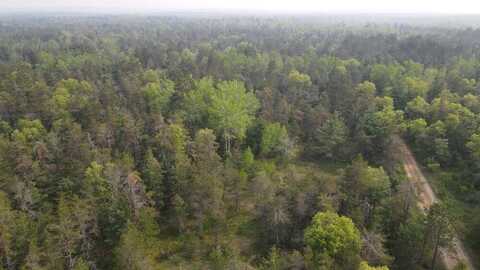Parcel C Cherry Creek Trail, Grayling, MI 49738