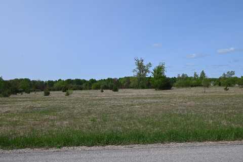 0 Motz Road SW, Kalkaska, MI 49646