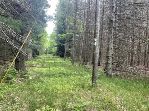SILVER LAKE DR Drive, Shelby, MI 49455